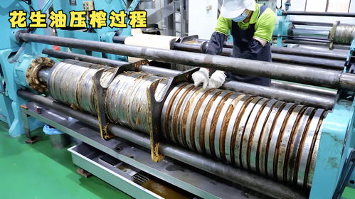 揭秘花生加工廠,原來花生油是這樣壓榨出來的,又長見識(shí)了