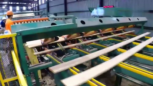 木材加工場(chǎng),從生產(chǎn)線出來(lái)的最終產(chǎn)品,我還是第一次見(jiàn)到