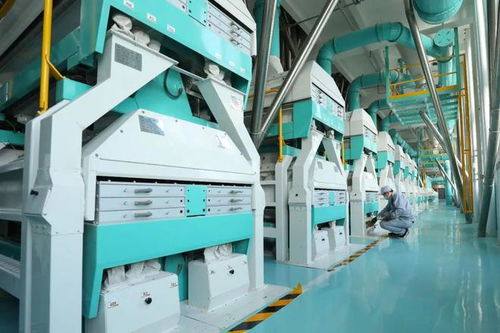 大名上榜 2024年度河北省中小企業特色產業集群名單公布