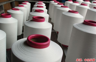 我國空氣變形紗的紡紗技術及發(fā)展的融資計劃書