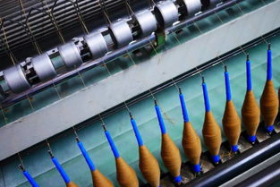 我們?cè)笧槟銏?jiān)守 e家內(nèi)蒙溯源特輯