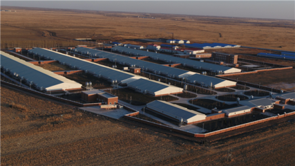 青岡構(gòu)建產(chǎn)業(yè)扶貧&ldquo;2+N&rdquo;打造持續(xù)增收主力軍