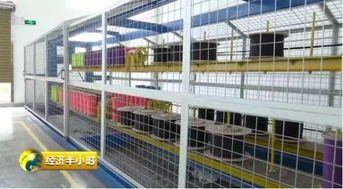 厲害了 望里鎮(zhèn)登上央視 經(jīng)濟(jì)半小時(shí) ,看蒼南傳統(tǒng)棉紡產(chǎn)業(yè)如何 老樹開新花