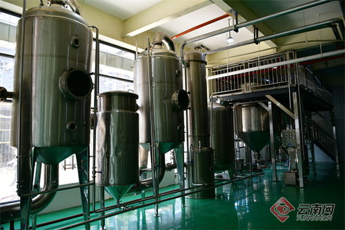 雅樂鮮云南工廠建成投產(chǎn) 推動(dòng) 云菌 精深加工上臺(tái)階