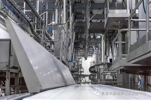 重點項目巡禮之山東雅拉生態食品產業園 生產連續化 加工專業化 銷售高端化 布局產業化再創新高