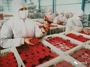 雞澤之約 攜手共創(chuàng)紡紗銷(xiāo)售新篇章