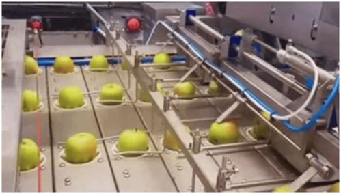 果蔬自動加工生產線 順應飲品市場消費趨勢的創新印染加工技術